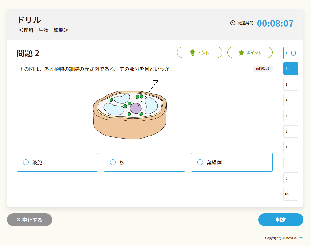 管理栄養