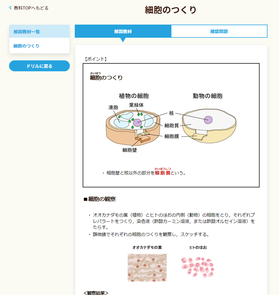 管理栄養