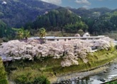 熊本県八代市立東陽中学校